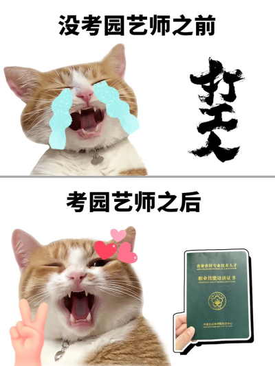 没事干点啥？抓住碎片时间考园艺师，逆袭翻盘！