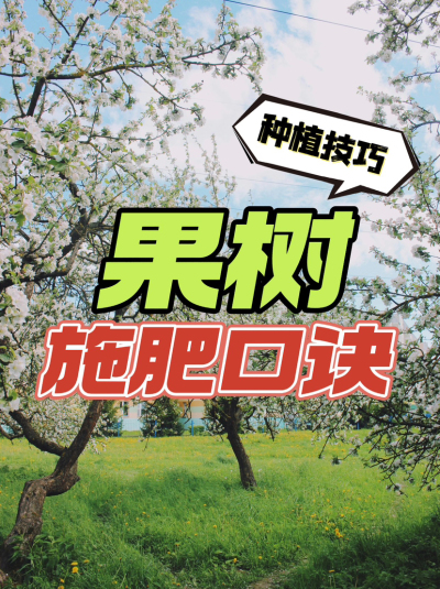 http://st-static1.rrrbz.cn/forums/2024/12/26/17351998488221.png