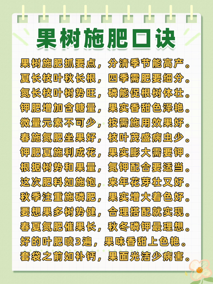 http://st-static1.rrrbz.cn/forums/2024/12/26/17351998504236.png