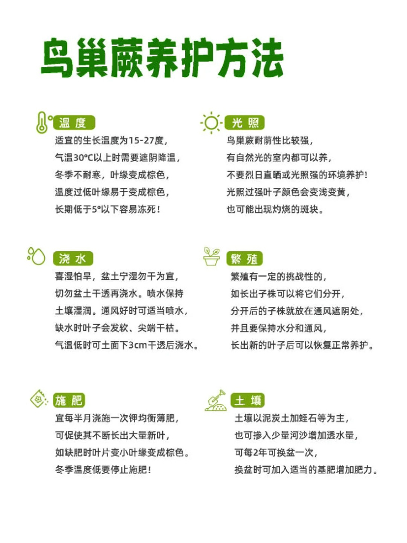 http://st-static1.rrrbz.cn/forums/2024/12/26/17352082321393.png