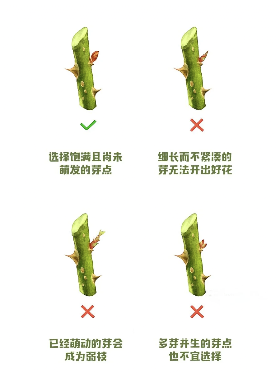 http://st-static1.rrrbz.cn/forums/2024/12/30/17355525117241.png