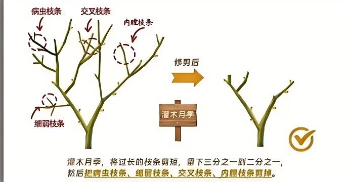 http://st-static1.rrrbz.cn/forums/2024/12/30/17355526554123.jpg