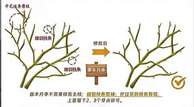 http://st-static1.rrrbz.cn/forums/2024/12/30/17355526909945.jpg
