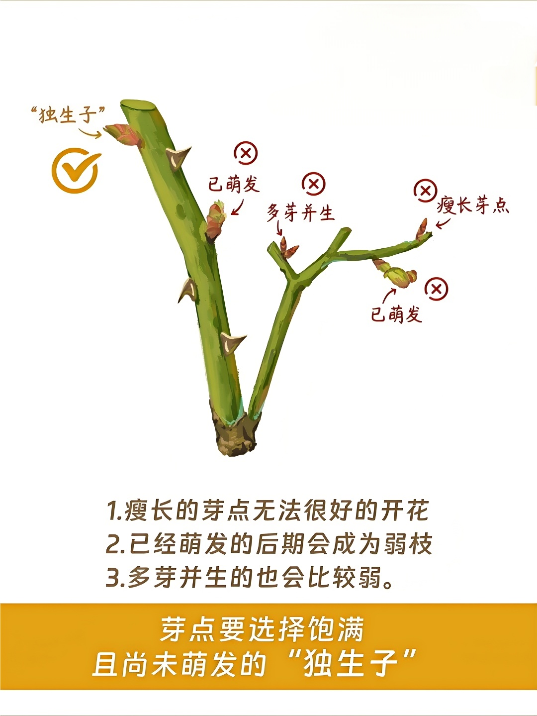 http://st-static1.rrrbz.cn/forums/2024/12/30/17355527515117.png