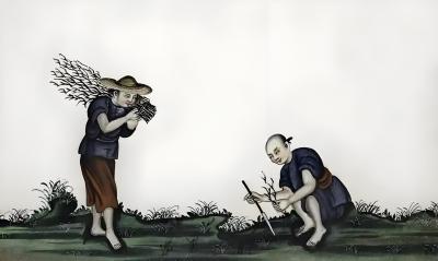 揭秘清朝 &ldquo;红薯盛世&rdquo;：小小红薯如何撬动历史乾坤