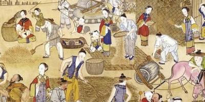 系列二：《官方力挺：红薯北上之路》
