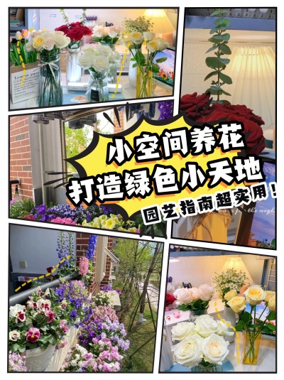 小空间养花指南 | 打造你的绿色小天地🌱