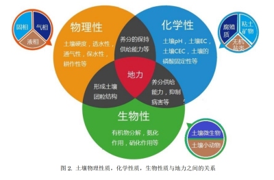 土壤和作物生育的关系