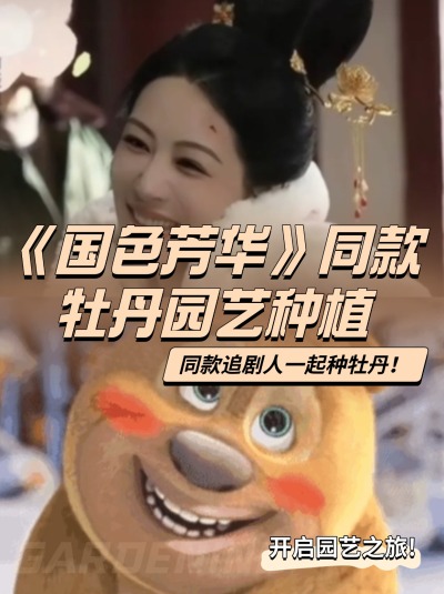 举个花铲铲，跟着《国色芳华》一起种牡丹！