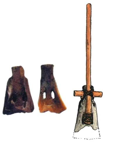 8000 年前的「米其林」盛宴：河姆渡人用牛骨吃饭的惊天秘密