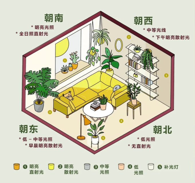 http://st-static1.rrrbz.cn/forums/2025/02/06/17388128291586.png