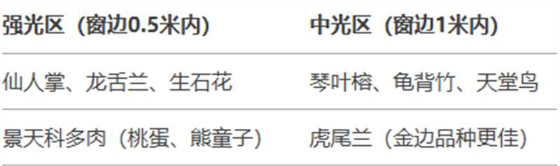 http://st-static1.rrrbz.cn/forums/2025/02/06/17388132986241.jpg