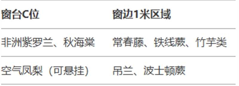 http://st-static1.rrrbz.cn/forums/2025/02/06/17388136156585.jpg