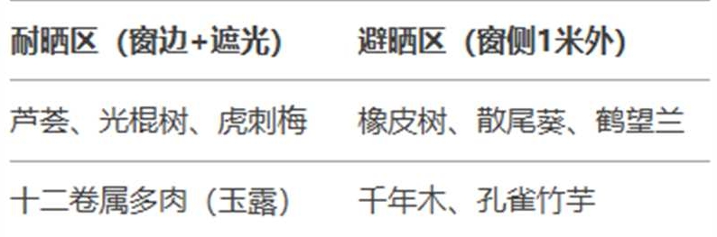 http://st-static1.rrrbz.cn/forums/2025/02/06/17388142171387.jpg