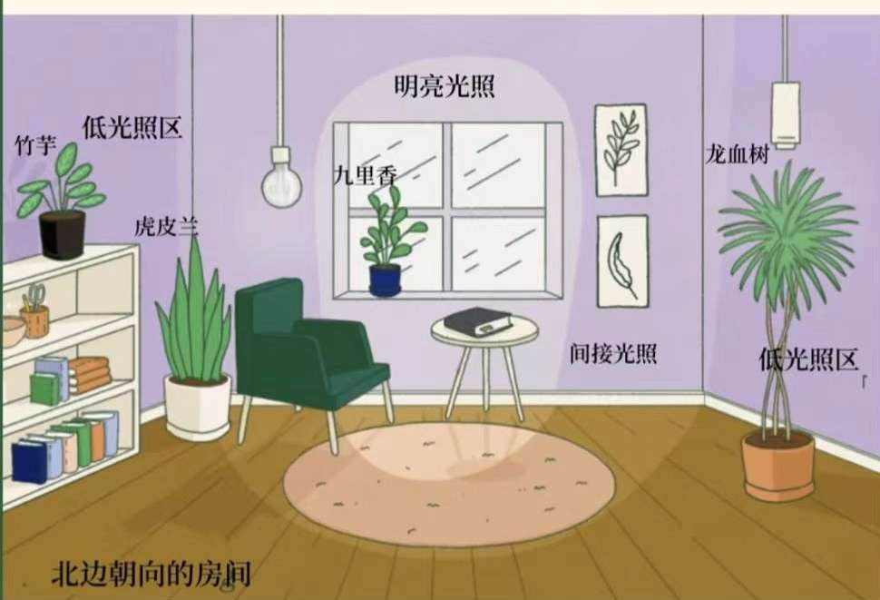 http://st-static1.rrrbz.cn/forums/2025/02/06/17388144187134.jpeg
