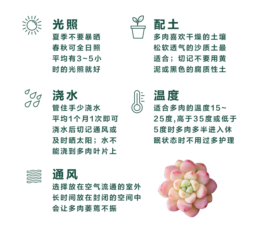 http://st-static1.rrrbz.cn/forums/2025/02/10/17391722467857.png