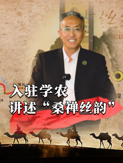 穿越千年，蚕桑丝绸文化熠熠生辉！今天，&ldquo;桑禅丝韵&rdquo;带你揭开神秘面纱，探寻蚕桑密码！#丰农控股 #蚕桑丝绸 #丝绸之路