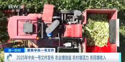 2025中央一号文件深度解读丨园艺景观行业迎来黄金发展期，三大机遇不可错过！