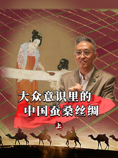 蚕桑丝绸承载着千年历史，是中华文化的靓丽名片，那么它在大众的意识里是什么印象呢？今天我们来讲第一部分#丰农控股 #蚕桑丝绸 #丝绸之路