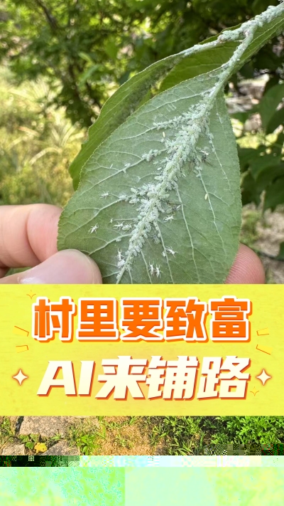 没有套路的农村AI工具，就是识农小程序