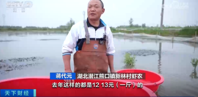 小龙虾越卖越便宜，这些养殖户还在赚钱