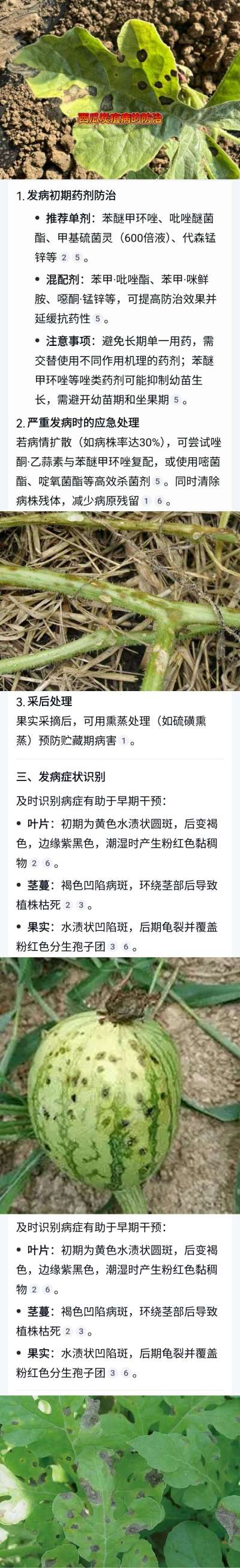 西瓜炭疽病如何预防和治疗