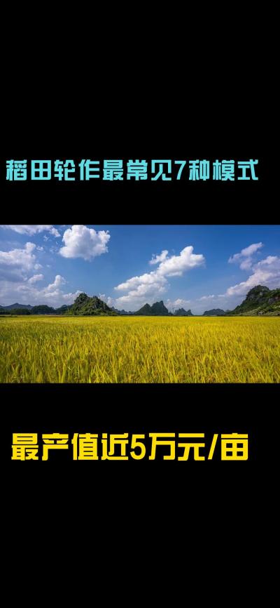 &ldquo;一田多收，藏着农业增收的密码！今天带您1分钟看懂水稻轮作的致富密码