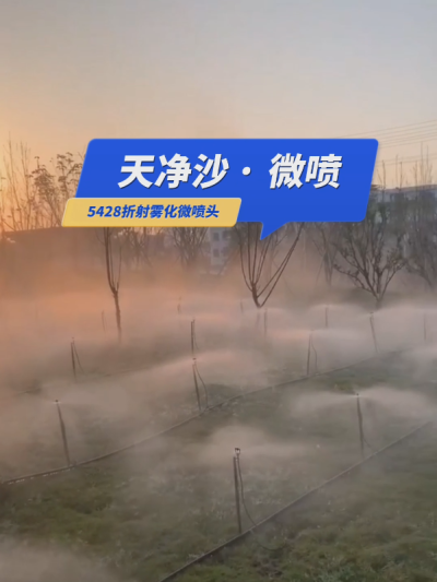 【天净沙&middot;微喷】枯藤老树昏鸦，草地仙境人家，地插微喷雾化，夕阳西下，灌溉，你问，我答！#5428折射雾化微喷头 #微喷 #华维集团