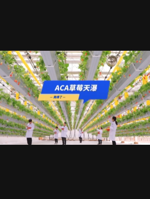 自由升降、追光生长。#ACA草莓天瀑，美爆了！向天再借500平！#ACA可控农业 #华维集团 #数字农业