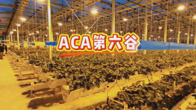#ACA第六谷 模式，打造#ACA作物工厂，规划建园到栽培种植水肥管理一站式服务！#可控农业 #华维集团