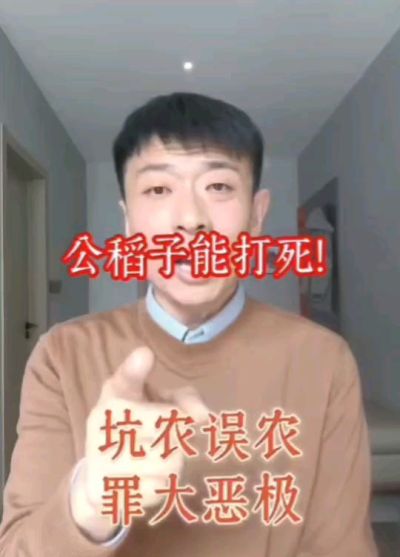 公稻子可以打死？纯属误农！