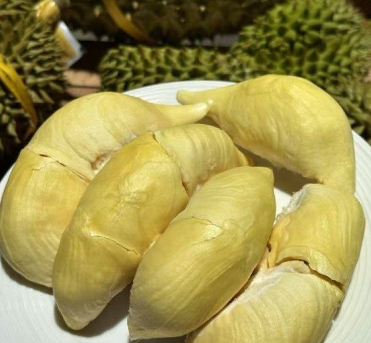 泰国甲仑榴莲
浓香满口，丝滑如奶油
甜甜糯糯，榴莲味浓郁
谁让它是泰国榴莲界的元