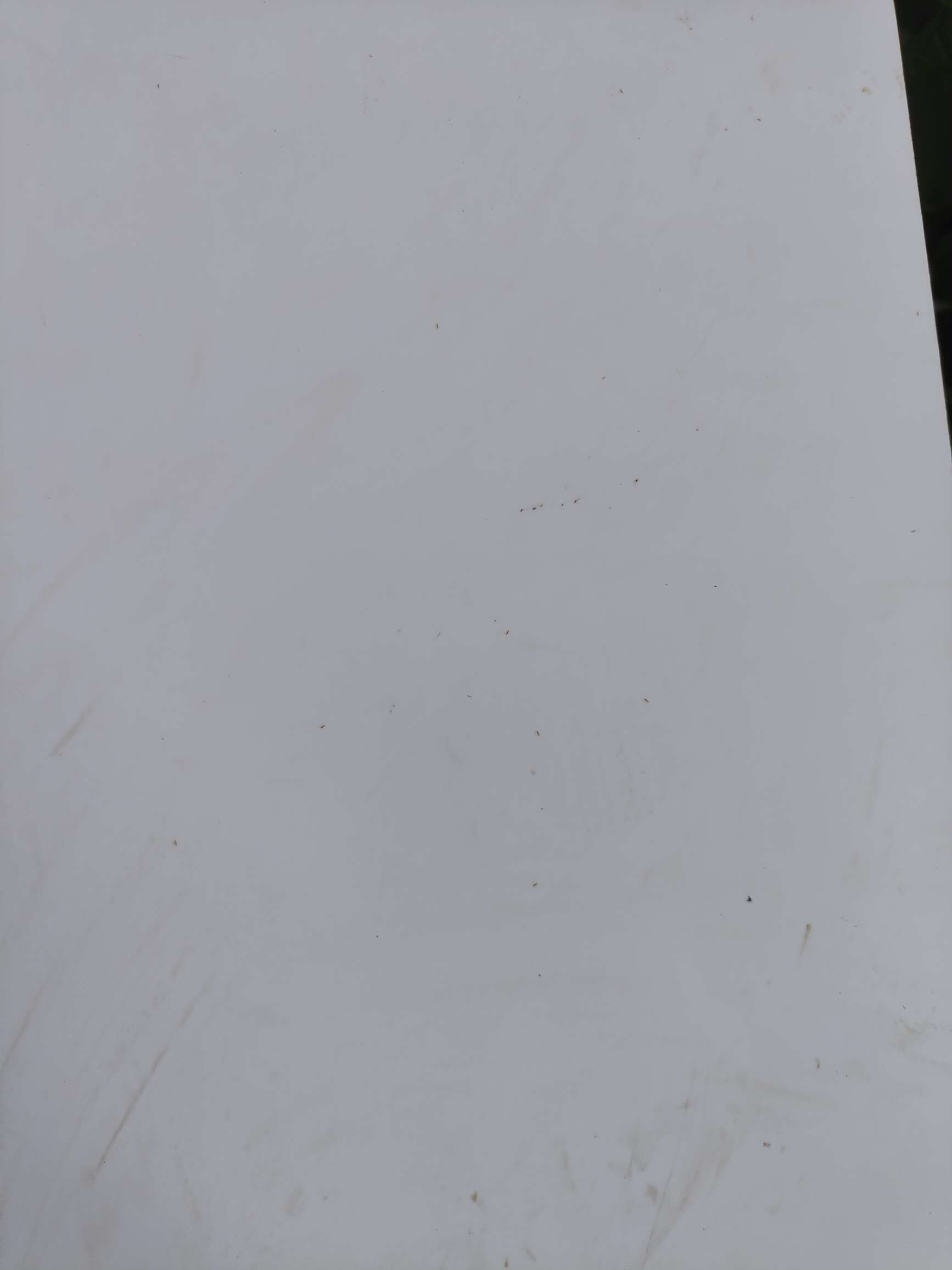 http://st-static1.rrrbz.cn/forums/2025/08/18/17555288245629.jpeg