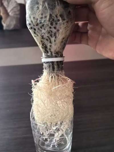 年销售量三十万吨的有机肥生产厂家，全国网点发货，资质齐全，正品保障！有机肥、生物菌肥、微生物肥料等