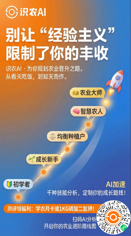 http://st-static1.rrrbz.cn/forums/2025/11/27/17642315792371.png
