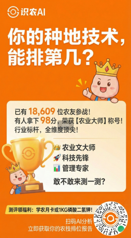 http://st-static1.rrrbz.cn/forums/2025/11/27/17642315818580.png