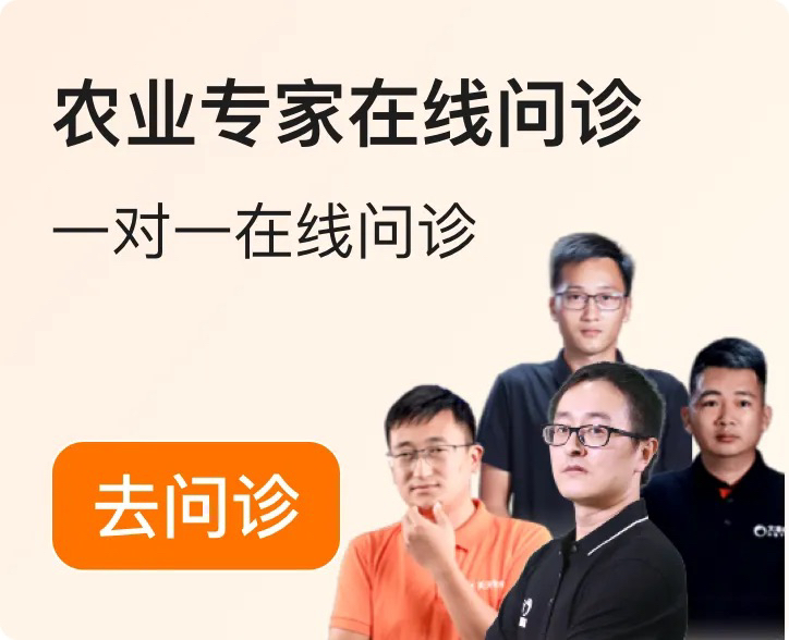 http://st-static1.rrrbz.cn/forums/2025/12/04/17648348949299.png