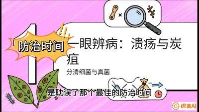 第三节：细菌与真菌&mdash;&mdash;溃疡病与炭疽病，课程：《柑橘十大病虫害：从入门到精通》