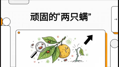 第二节：顽固&ldquo;两只满&rdquo;&mdash;&mdash;红蜘蛛与锈壁虱,课程：《柑橘十大病虫害：从入门到精通》