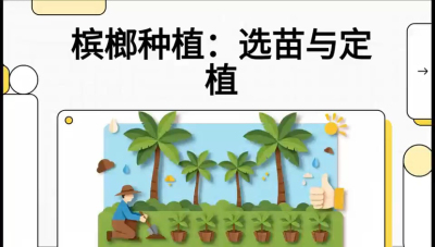 第01节：选苗与定植&mdash;&mdash;&ldquo;苗好一半收，底肥定千秋&rdquo;课程：《槟榔种植：从不懂到精通的10堂必修课》
