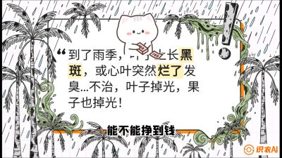 第05节：常见真菌病害&mdash;&mdash;&ldquo;炭疽与烂心，早防值千金&rdquo;《槟榔种植：从不懂到精通的10堂必修课》