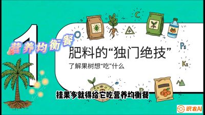 第07节：科学施肥&mdash;&mdash;&ldquo;氮磷钾配好，树壮果不倒