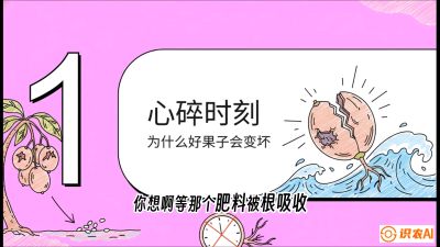 第08节：微量元素与保果&mdash;&mdash;&ldquo;补硼又补钙，果子不裂坏&rdquo;《槟榔种植：从不懂到精通的10堂必修课》