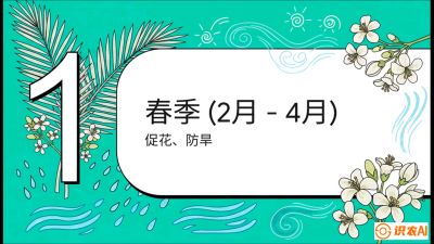 第10节：周年农事日历&mdash;&mdash;&ldquo;跟着节气走，丰产在手头&rdquo;《槟榔种植：从不懂到精通的10堂必修课》
