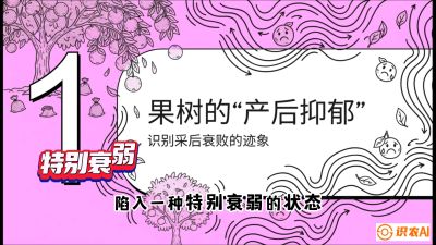 第2节：【冬肥策略】采后&ldquo;月子肥&rdquo;：大小年的精准干预术，课程：《柑橘底肥&ldquo;翻身账&rdquo;：从改土到高产的实战全书》