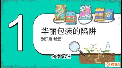 第4节：【黄金配方】底肥里的&ldquo;铁三角&rdquo;与&ldquo;微量雷区&rdquo;课程：《柑橘底肥&ldquo;翻身账&rdquo;：从改土到高产的实战全书》