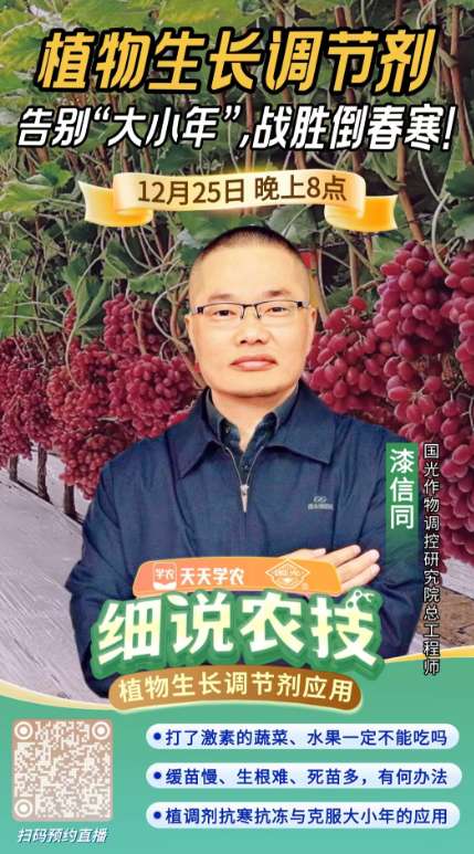 http://st-static1.rrrbz.cn/forums/2025/12/23/17664639985811.png
