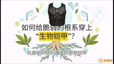 第三节：国产榴莲突围战：根系堡垒，菌根微生态构建与黄金定植窗口，课程：《国产榴莲突围战：从泰国经验到中国实操的8堂必修课（高阶实战版）》