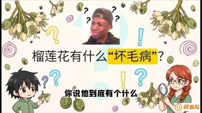 第六节：榴莲的午夜战事，夜间授粉战与花果期避雨策略，课程：《国产榴莲突围战：从泰国经验到中国实操的8堂必修课（高阶实战版）》