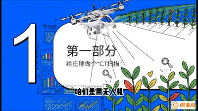 第5节：无人机也能&ldquo;看病抓药&rdquo;&mdash;&mdash;处方图与变量施肥入门，课程：《无人机植保搞钱必修课：从&ldquo;瞎飞&rdquo;到&ldquo;懂行&rdquo;的6步进阶》